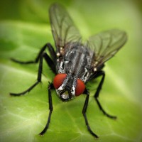/album/eco-do-sistema/photolia-a01-jpg/