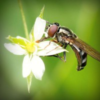 /album/eco-do-sistema/photolia-a02-jpg/