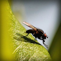 /album/eco-do-sistema/photolia-a04-jpg/