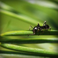 /album/eco-do-sistema/photolia-a05-jpg/
