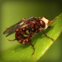/album/eco-do-sistema/photolia-a06-jpg/