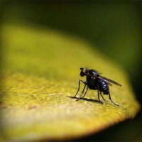 /album/eco-do-sistema/photolia-a07-jpg/