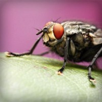 /album/eco-do-sistema/photolia-a08-jpg/